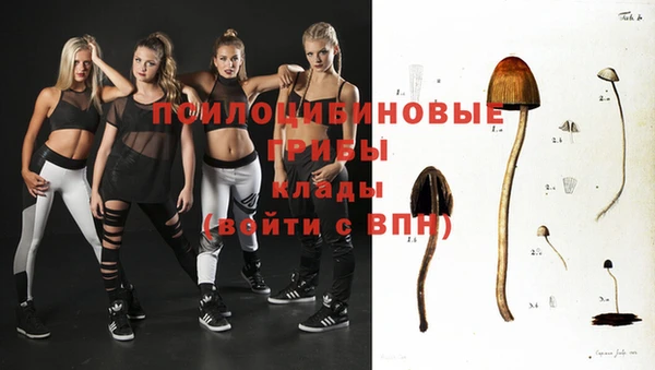 бошки Абинск
