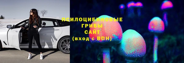 твердый Алексин