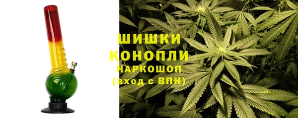 гашик Алзамай