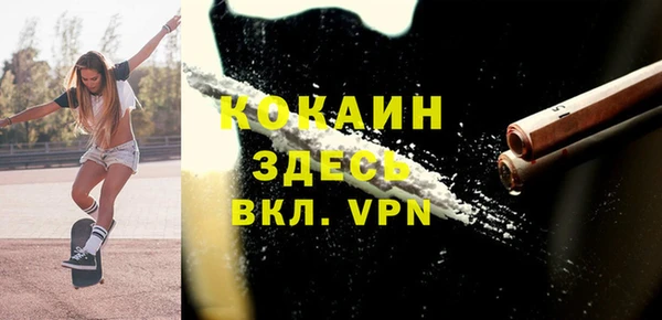 твердый Алексин